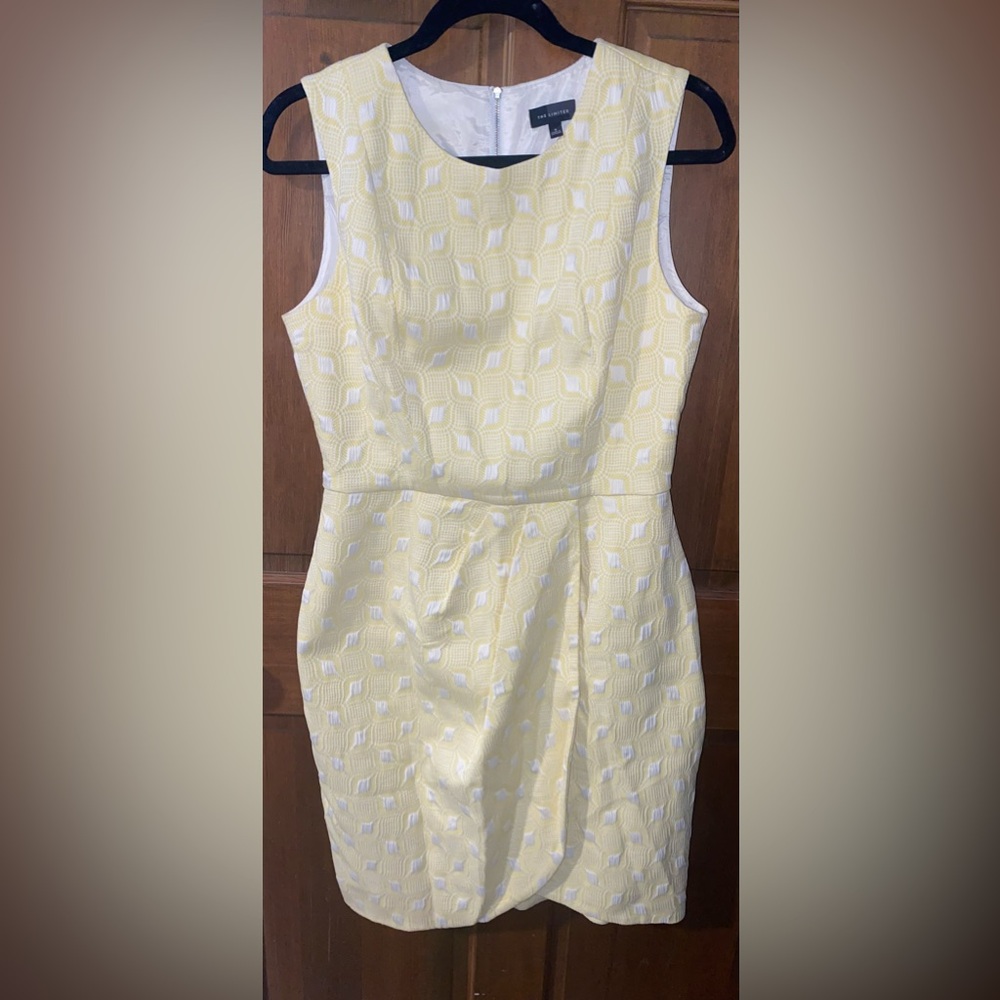 The Limited size 8 dress Easter retro